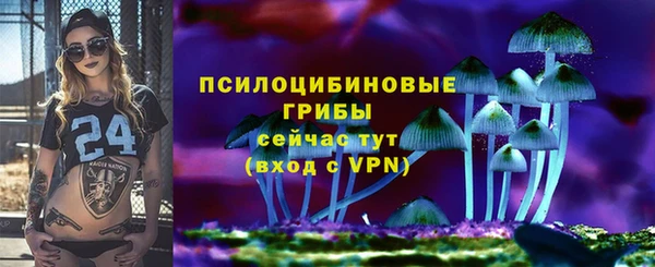 герыч Надым