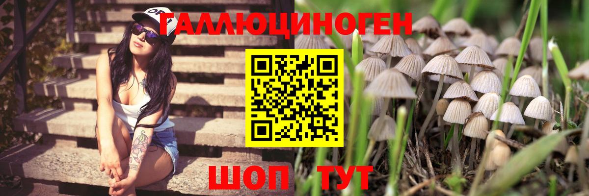 Псилоцибиновые грибы мицелий  Вход с VPN  Оренбург 